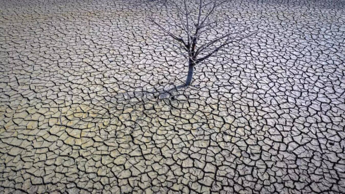 Crop Failure In Spain: Drought will cause crop failures in Spain, farmers warn