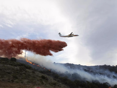 France: Firefighters battle France's 1st major forest blaze of 2023