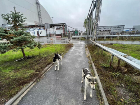 Ukraine slams Russian 'blackmail' on Chernobyl anniversary