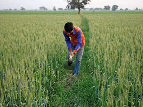 Gujarat govt announces relief package for farmers hit by unseasonal rains