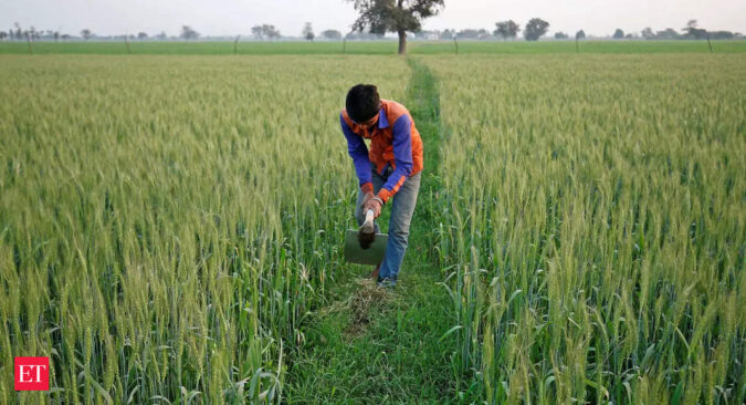 Gujarat govt announces relief package for farmers hit by unseasonal rains