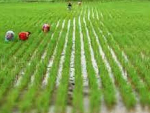 MoS Agri pitches for mass adoption of new farm technologies for achieving $5 trillion economy