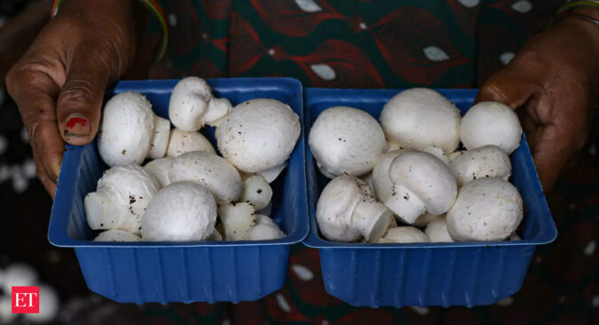 mushroom: Rang De collaborates with Mission Samriddhi to launch Mushroom Fund for underserved TN farmers