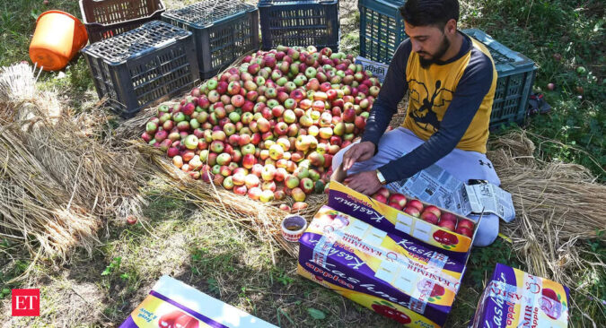 Apple production may halve due to unseasonal rains, snowfall; import restrictions to keep prices up