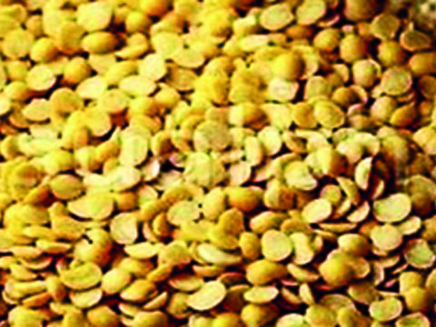 Tur traders propose campaign to promote use of other pulses