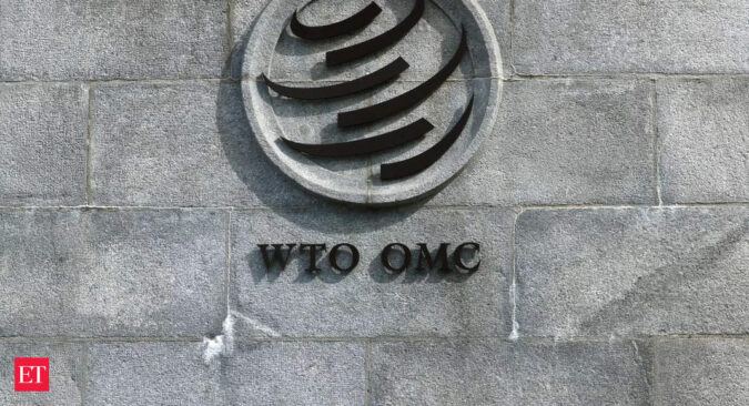 India looks to build consensus at WTO to block non-trade issues