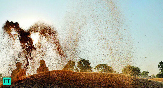 India's wheat output set to touch a new record of 112.74 mn ton in 2022-23: Govt data