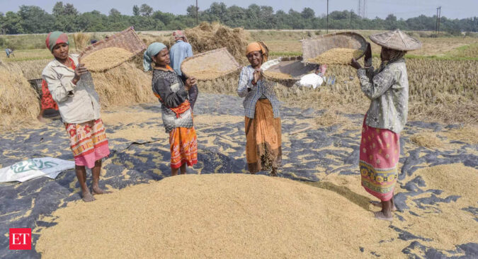 Paddy MSP: Govt's rice procurement reaches 52.06 million tones so far; makes Rs 1.6 lakh crore MSP payment