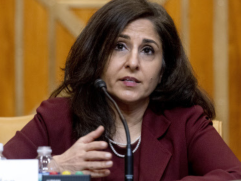 Biden: Biden names Indian-American Neera Tanden as his domestic policy adviser