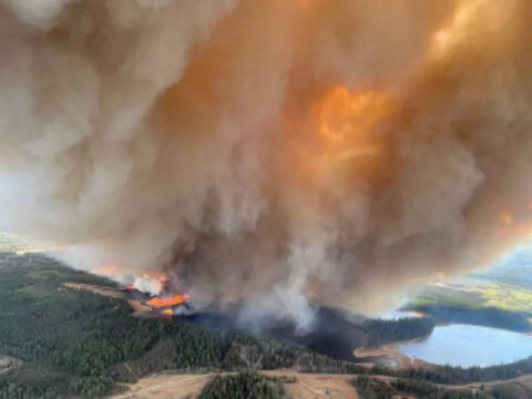 Canada's Alberta declares state of emergency over wildfires