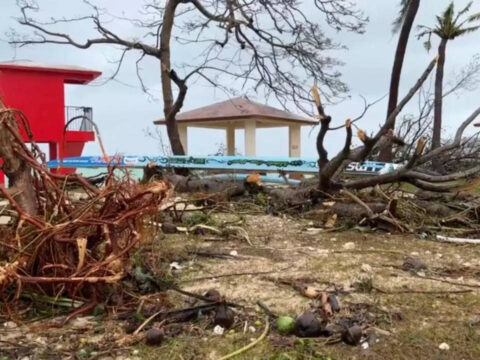 After Typhoon Mawar battered Guam, 'what used to be a jungle looks like toothpicks'