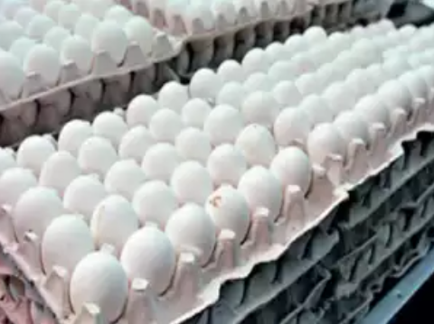 Sri Lanka to import 1 million eggs daily from India to meet market demand