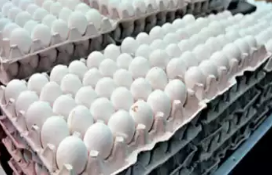 Sri Lanka to import 1 million eggs daily from India to meet market demand