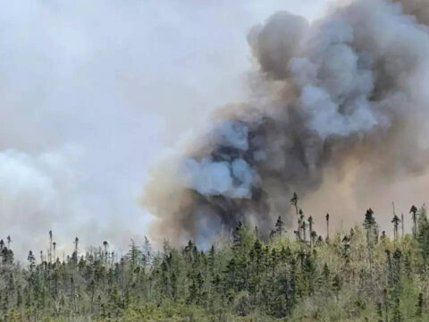 Wildfire on Canada's Atlantic coast forces evacuation of 16,000 people