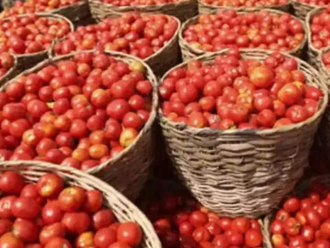 Prices of tomato and ginger skyrocket within a fortnight