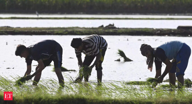 msp: Kharif crop MSP hike unlikely to have big impact on inflation, say economists