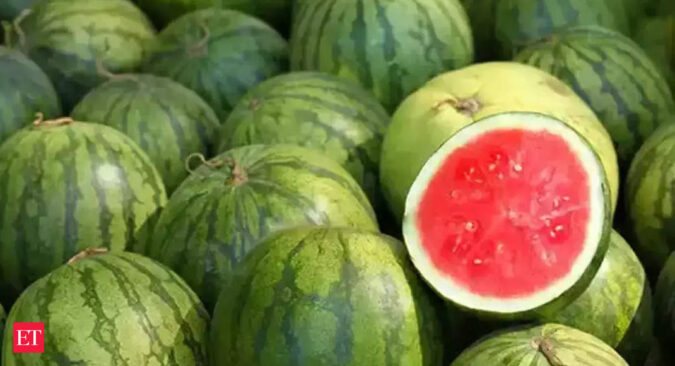 Government details procedure for watermelon seeds imports