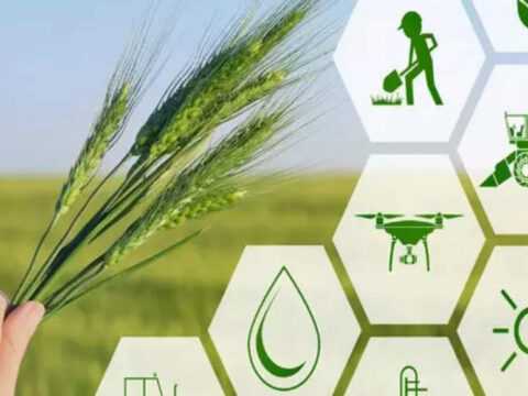 bayer: Bayer signs MoU with Cargill for offering farmers solutions & optimal price realisation