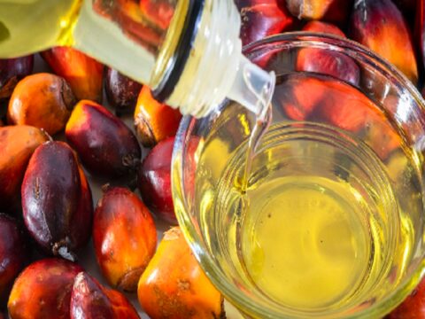 India's palm oil imports fall 15 pc to 4.39 lakh tonne in May