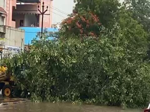 Insurance claim: Cyclone Biparjoy: Insurance claim payments to be disbursed at the earliest, says Irdai