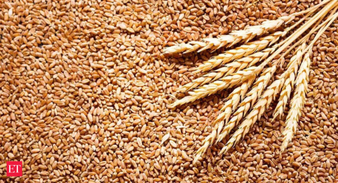 India approves wheat, broken rice exports requests from 4 countries