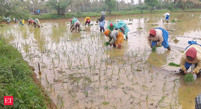 Maharashtra govt advises farmers to hold back kharif sowing