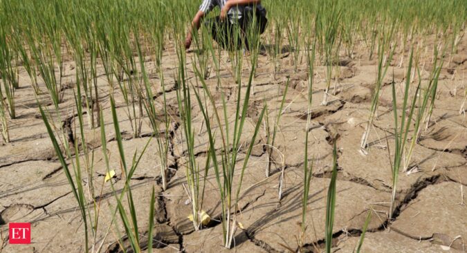 El Nino set to be party-pooper for policymakers in 'most vulnerable' India