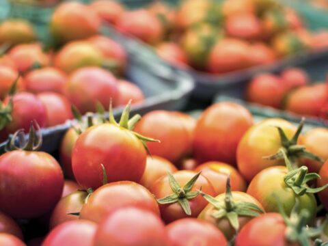 tomato prices: Tomato shoots above Rs 100: Why prices are turning red hot