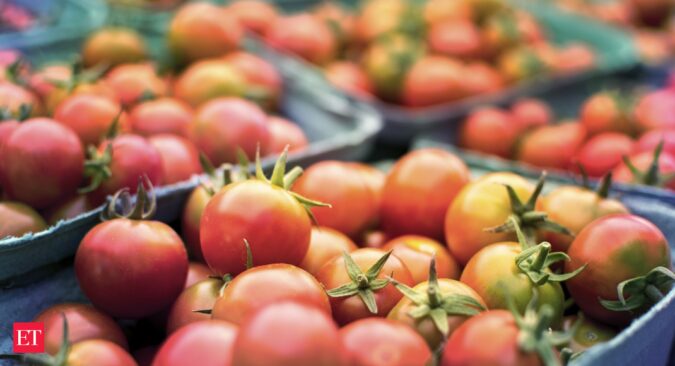 tomato prices: Tomato shoots above Rs 100: Why prices are turning red hot