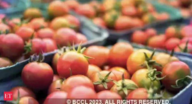 Disruption in transport chain leads to price rise of tomatoes in UP