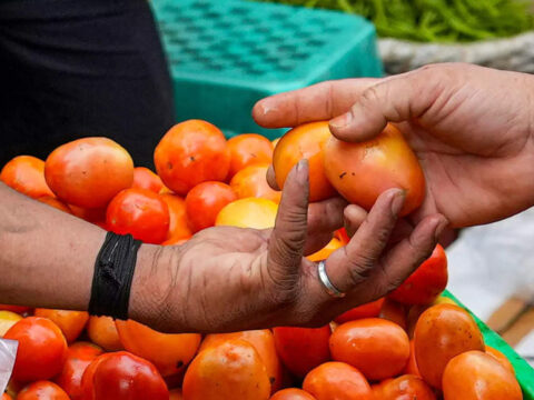 tomato prices: Tomatoes to be sold at Rs 68 per kg in Farm Fresh Outlets to control prices, says Tamil Nadu Minister