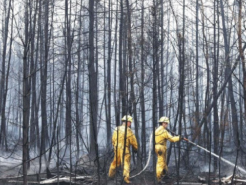 Haze from Canadian wildfires eases as reinforcements from abroad arrive