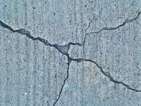 Strong earthquake rattles northern Japan; no damage reported