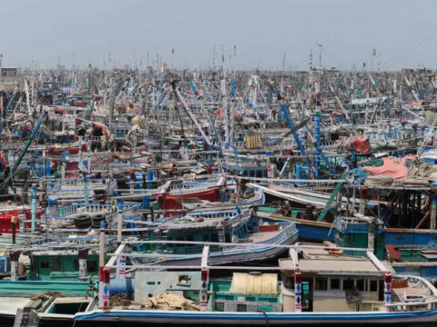 Cyclone Biparjoy: Thousands of people evacuate homes in Pakistan