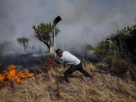 With record heat and drought-stricken woods, Spain’s Catalonia faces perfect wildfire conditions