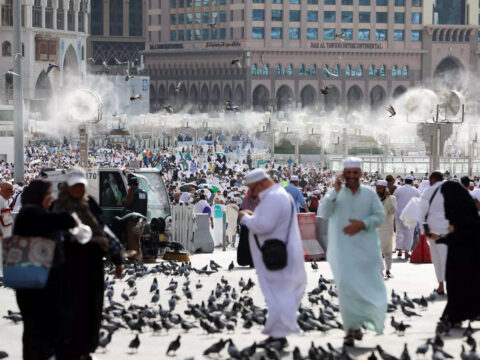 'God's guests': Saudis safeguard hajj hospitality tradition