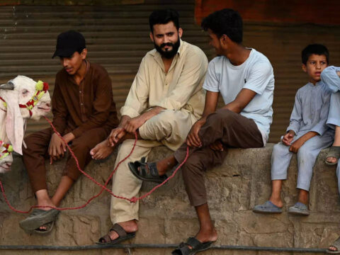 Eid Al-Adha: Sacrificial animals stolen, ATMs run dry: How Pakistan's economic turmoil is impacting Eid celebrations