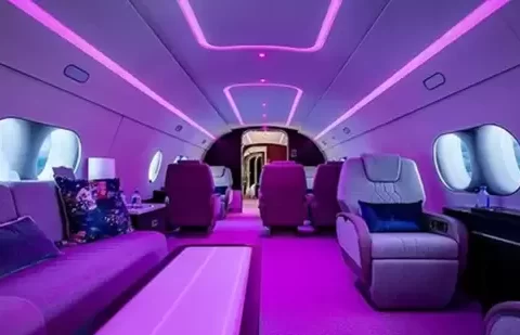 The party jet is fitted with LED lights, features a bedroom with a spacious king-size bed. (instagram)