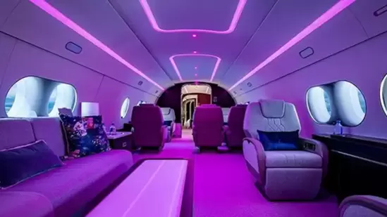 The party jet is fitted with LED lights, features a bedroom with a spacious king-size bed. (instagram)