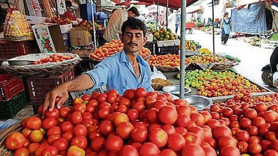 The months of July-August and October-November typically experience lower tomato production, contributing to the current scarcity.(HT Photo)