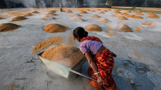 A worker carries boiled rice in a wheelbarrow to spread it for drying at a rice mill on the outskirts of Kolkata, India.(REUTERS)