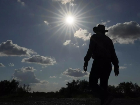 Heat wave in US turns Texas prisons into 'ovens'