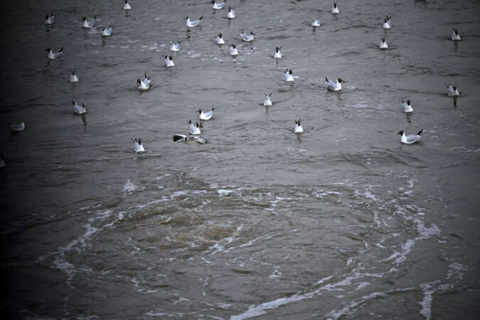 London's new 'super sewer' to end Thames pollution blight