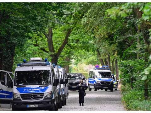 Berlin Lioness: 'Lioness' on the loose? More experts sought in second-day search for elusive animal