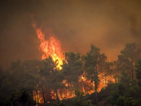 30,000 people evacuated as wildfires rage in Greek Rhodes Island