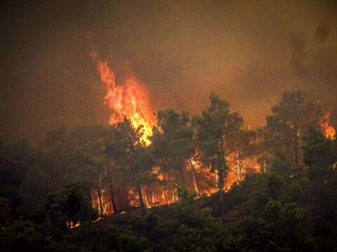 Tourists flee Greek island Rhodes wildfire, thousands evacuated