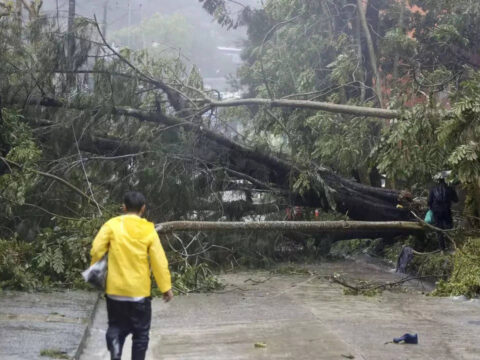 Typhoon Doksuri: China braces for Typhoon Doksuri's landfall, shutting schools and businesses