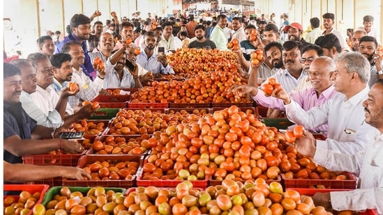 Farmers show tomatoes during a bid at APMC market as tomato prices are soaring across the nation, in Chikkamagaluru,(PTI)