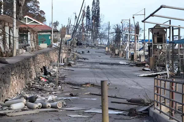 Aftermath of fires in Lahaina, Hawaii.