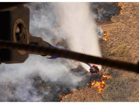 Hawaii Wildfire: Like a warzone: Hawaii's fleeing tourists tell of escape